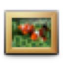 Toolbar Pictures icon